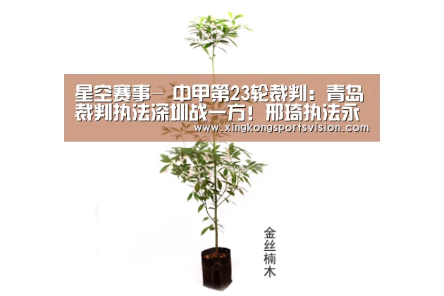 星空赛事-
中甲第23轮裁判:青岛裁判执法深圳战一方!邢琦执法永昌战卓尔(图1) 星空登录