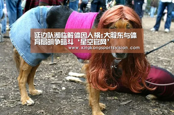 延边队濒临解体因人祸:大股东与体育局明争暗斗‘星空官网’(图1) 星空官网