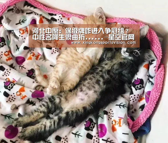 河北中原:保级牌咋进入争冠组?中性名降生很曲折......-星空官网(图1) 星空电竞