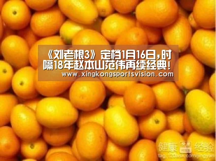 《刘老根3》定档1月16日,时隔18年赵本山范伟再续经典!【星空登录】(图1) 星空赛事